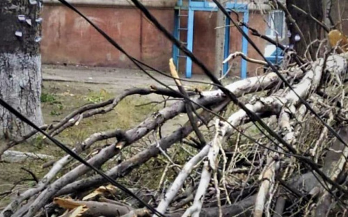 В Мариуполе дерево рухнуло на электропровода (ФОТОФАКТ)