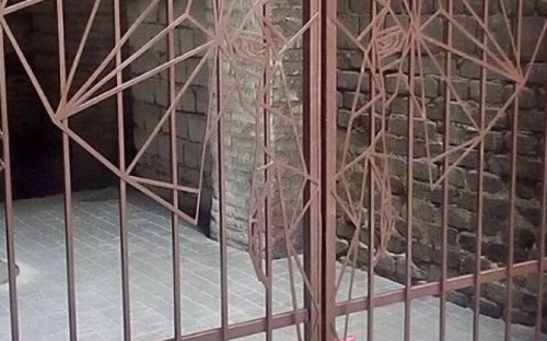 В Мариуполе появился индийский слон в современном обличии (ФОТО)