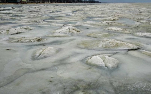 Возле ледяного моря попрощались с зимой около двух тысяч мариупольцев