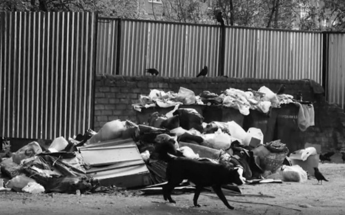 Мариупольцы сняли социальный экоролик о проблеме мусора на улицах города (ВИДЕО)