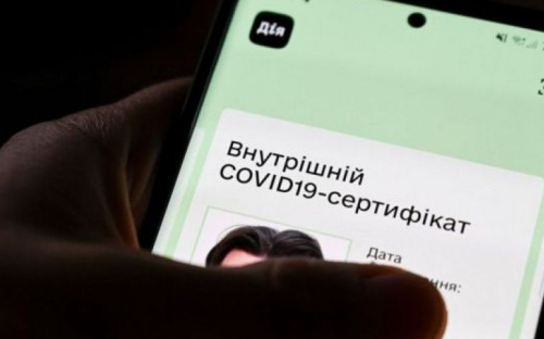 Получившие «ковидную» тысячу украинцы «положили» сайты интернет-магазинов