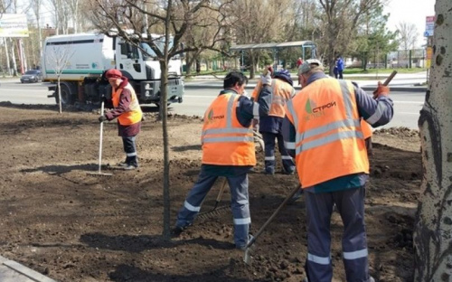 В Мариуполе вдоль проспекта засеют 2 гектара газона