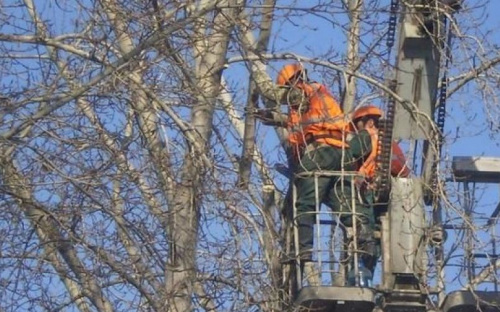 В Мариуполе от деревьев и кустарников очистили более 5 км трасс линий электропередач