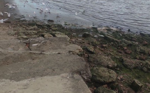 В Мариуполе ветер отогнал море от берега: спасатели приступили к уборке дна