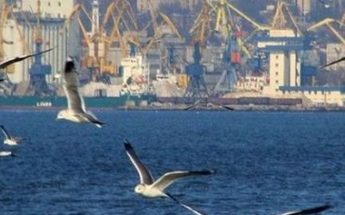 ТОП-новости за неделю от MRPL.CITY: ужасное соседство, скандальный матч «Мариуполь» - «Динамо» и загадки медреформы