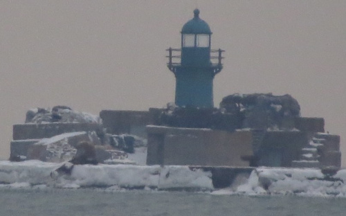 Море у Мариуполя освободилось от ледового плена (ФОТОФАКТ)