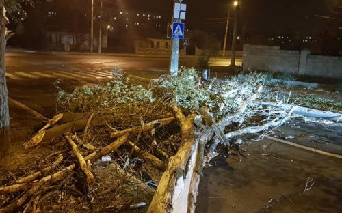 В Мариуполе шторм с порывами ветра до 24 метров в секунду
