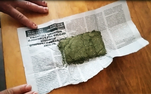 На Донетчине мужчина принес на территорию школы коноплю