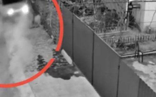 Нетрезвый мариуполец влетел в забор дома и сбежал (ВИДЕО)