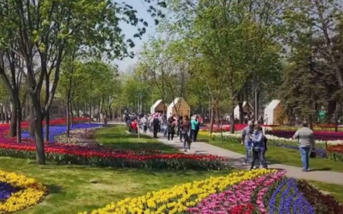 В Мариуполе запустили ролик против вандализма