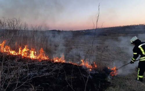 На Донетчине объявили чрезвычайный уровень пожарной опасности