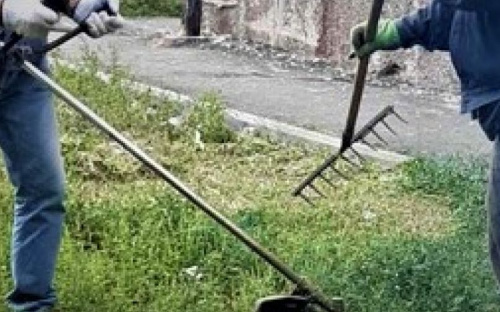 В Мариуполе депутат взялся за косу