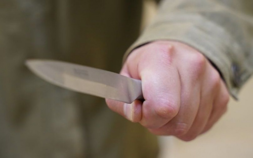 На Донетчине служебные собаки помогли разыскать убийцу
