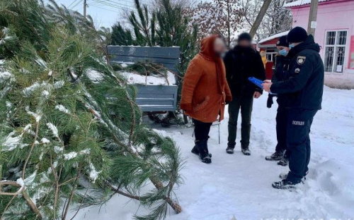 На Донетчине изъяли до 300 браконьерских елок