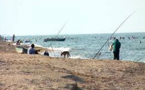 Рыбаков Азовского моря призывают вернуться в порты