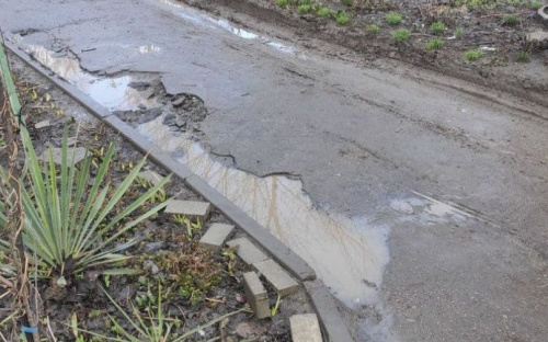 Ездят по клумбам и тротуарам: мариупольские водители игнорируют ПДД