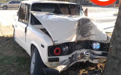В Мариуполе водитель врезался в дерево и сбежал