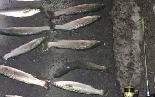 В Мариуполе браконьер «пауком» наловил рыбы почти на 12 тысяч гривен