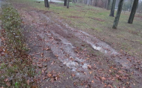 В мариупольских зеленых зонах появились загадочные следы (ФОТО)