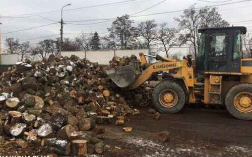 В Мариуполе нелегал-«лесоруб» уничтожал зеленые насаждения (ФОТО)