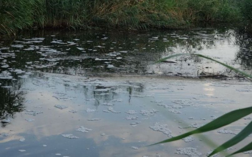 В Мариуполе ищут виновных в «умерщвлении» реки – открыто уголовное производство
