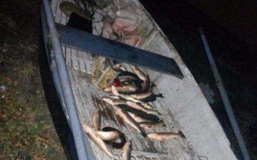 Пограничники задержали мариупольца с уловом пиленгаса на 20 тысяч гривен (ФОТО)