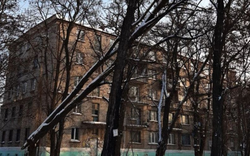 В Мариуполе аварийная крона дерева нависла над тротуаром