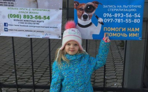 «Хочу домой»: мариупольцы находят приют бездомным животным (ФОТО)