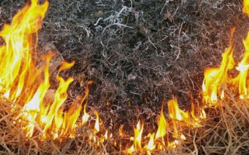 На Донетчине на 3 дня прогнозируют чрезвычайную пожарную опасность