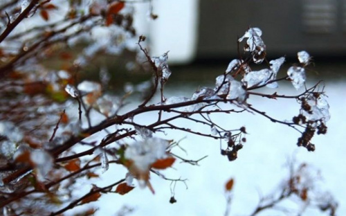 В Мариуполе похолодает до -13°C