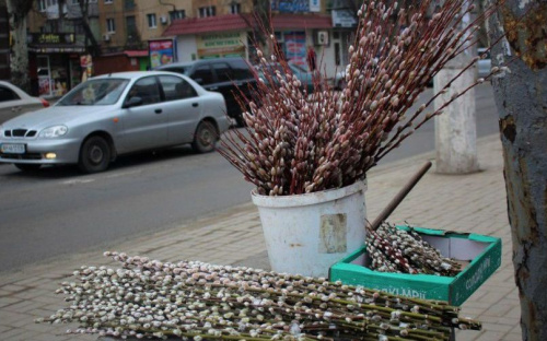 Мариупольцев призвали не придавать магического значения освященным вербам (ФОТО)