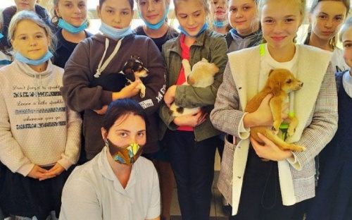 Школьники Мариуполя собрали для бездомных животных 2500 кг корма