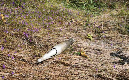 В мариупольском районе обнаружили гранату: на месте работали спасатели