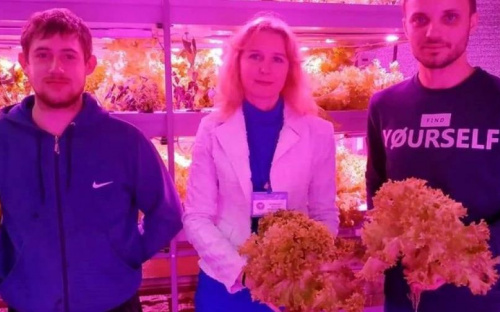 Мариупольский предприниматель выращивает зелень без химических удобрений