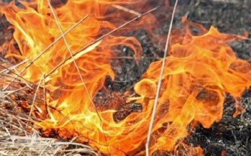 В Мариуполе за сутки выгорело около 78 тыс. кв. м территорий и электроподстанция (ФОТО)