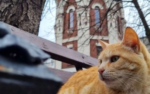 Туристический объект в Мариуполе возобновил прием посетителей