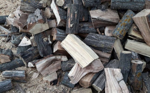На Донетчине «черные лесорубы» нанесли 700 тысяч гривен ущерба
