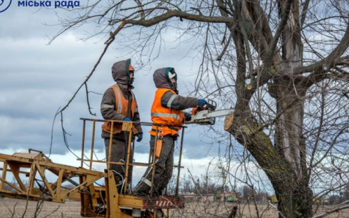 Мариупольские ЦПАУ начнут принимать заявления на обрезку деревьев