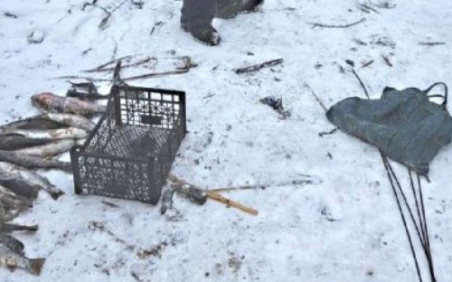 В Мариуполе браконьер «пауком» наловил рыбы почти на 16 тысяч гривен