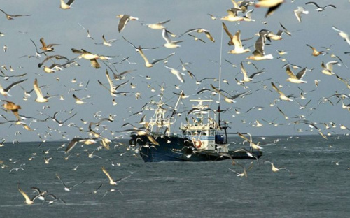 Захват Россией украинского судна в Азовском море: прокуратура открыла уголовное производство