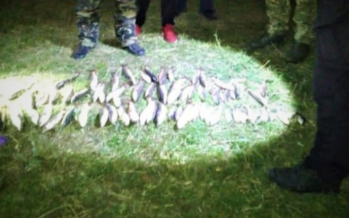 Под Мариуполем рыбак нанес ущерб государству на 46 тысяч гривен