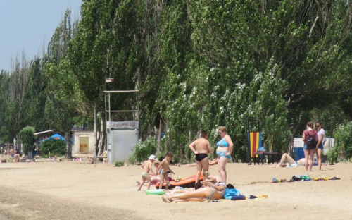 На Левобережье Мариуполя вырастет сосновый бор и появятся спортивные поля (ФОТО)