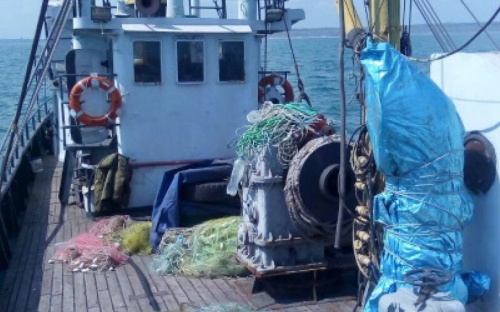 Под Мариуполем в браконьерские сети попали сотни рыб