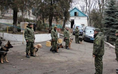 Спасать Донбасс от взрывчатки будут четвероногие полицейские (ФОТО)