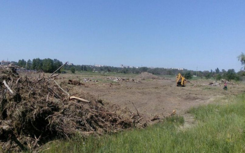 Стало известно, зачем рубят деревья в мариупольском парке им. Гурова (ФОТО)