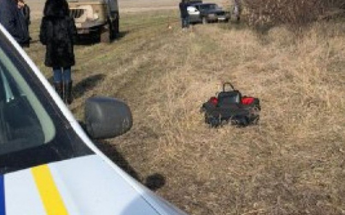 В Мариуполе на горячем поймали группу «черных лесорубов» (ФОТО)