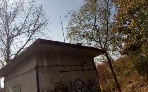 В Мариуполе коты погибали на газовой будке