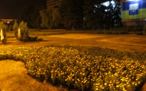 Цветочное знамя Украины разобрали школы и детсады Мариуполя (ФОТО)