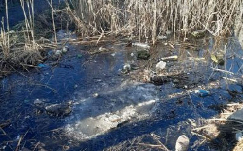 Грунтовая вода затопила дома и дворы в Мариуполе. Кто виноват?