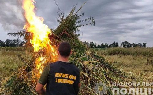 Полицейские обнаружили на Донетчине Чуйскую долину